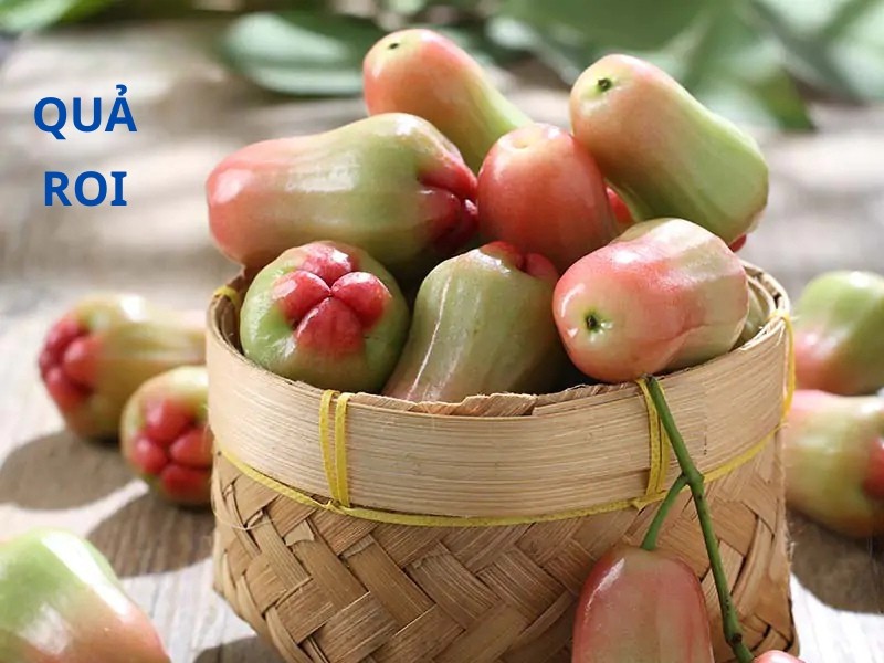 Roi là một loại quả rất tốt cho cho người tiểu đường